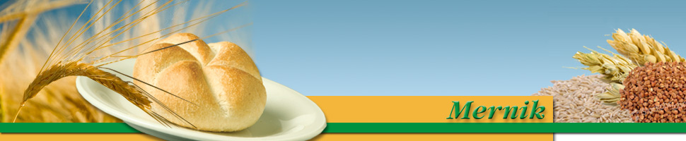 Mernik